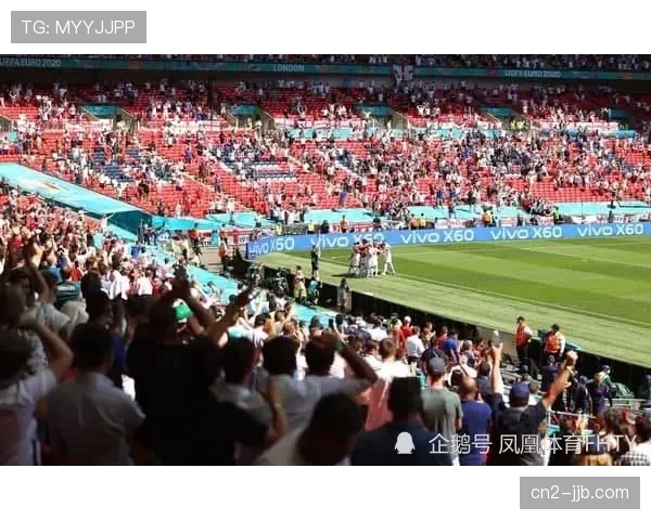 法国赛花絮：中国球迷会组织应援，看台现巨型国旗